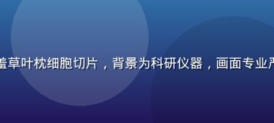 实验室研究人员在显微镜下观察含羞草叶枕细胞切片，背景为科研仪器，画面专业严谨，体现含羞草的植物学研究价值