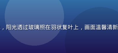 明亮阳台上摆放着一盆含羞草盆栽，阳光透过玻璃照在羽状复叶上，画面温馨清新，体现含羞草阳台种植的生活美学