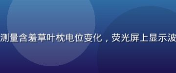 植物学家在实验室中用电极测量含羞草叶枕电位变化，荧光屏上显示波形曲线，科研环境专业严谨