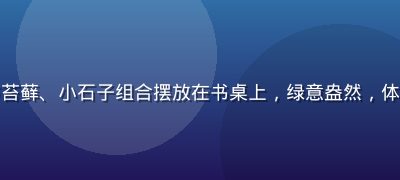 精致的含羞草微景观玻璃缸，与苔藓、小石子组合摆放在书桌上，绿意盎然，体现含羞草微景观造景的创意美感